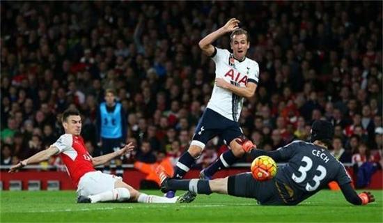 也在, 草坪, 改造项目