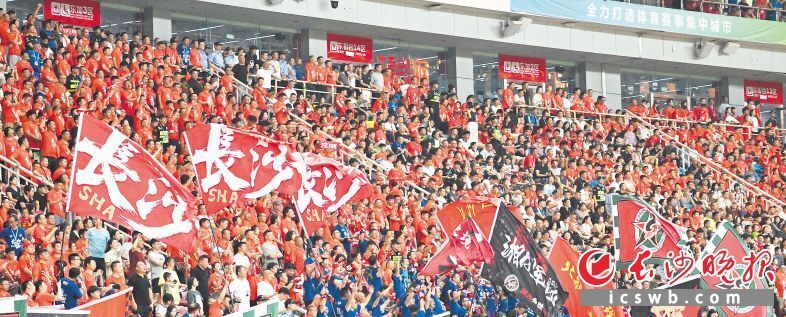 RvSZ, 上观赛群体, 笔记浏览量 RvSZ, 上观赛群体, 笔记浏览量